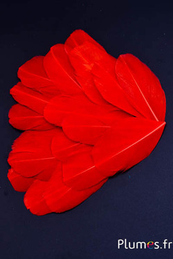 Pétales en plumes - 6-8 x 3-4 cm - amarante